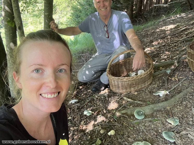 486766417 2180782642372258 4818300024063967871 n