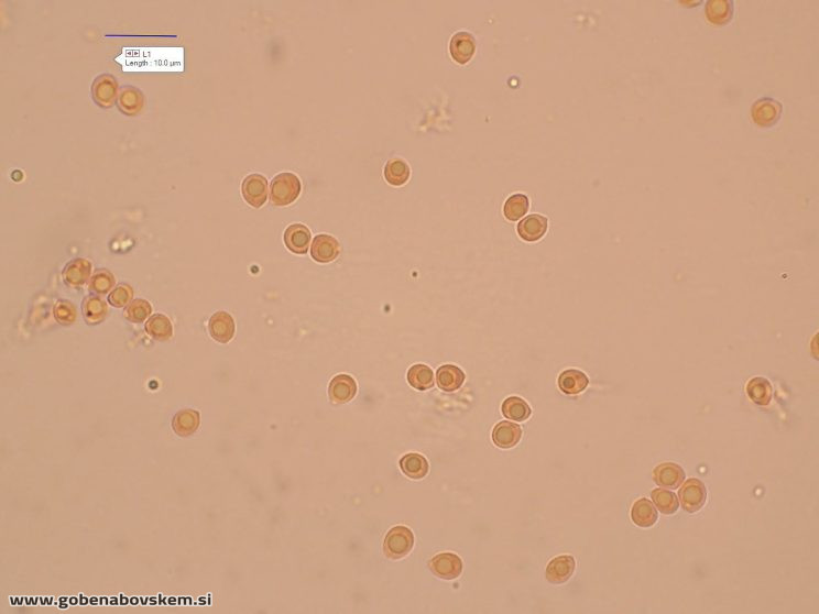 21e8d715 31a8 442c b837 17b1ab4d92d7