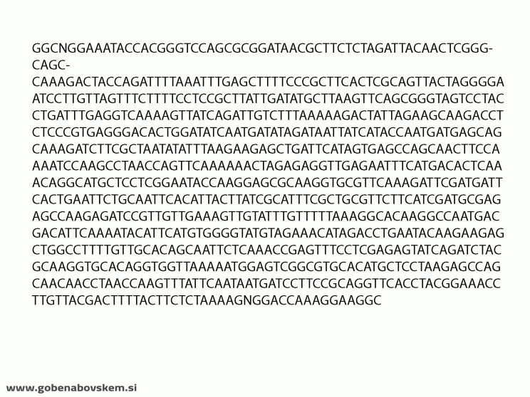 ENTOLOMA SERICEUM MANGRT4