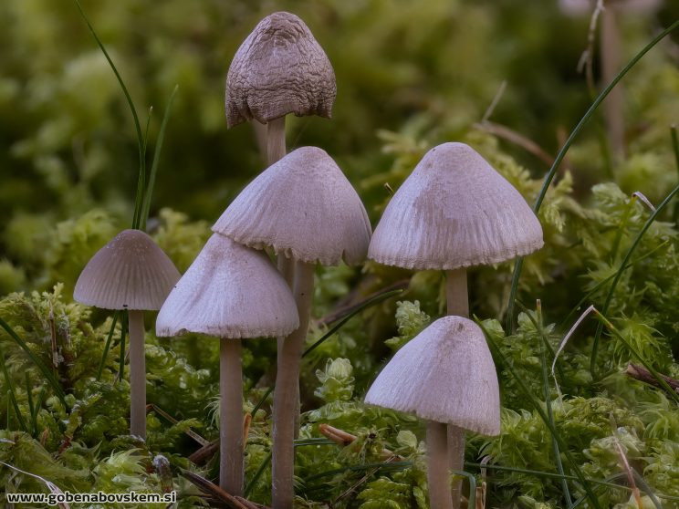 Stacked from 90 images. Method=C (S=3)