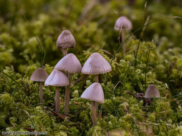 Stacked from 90 images. Method=C (S=3)