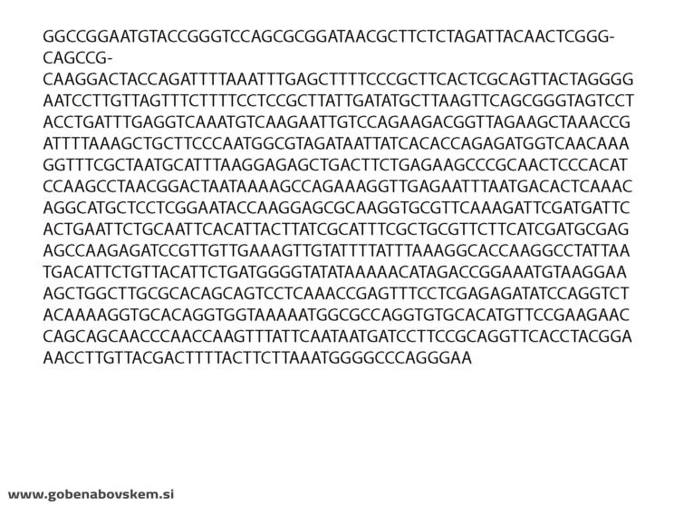 ATRACTOSPOROCYBE INORNATA12