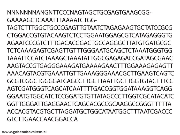 TEPHROCYBE PLATYPUS ČURI5